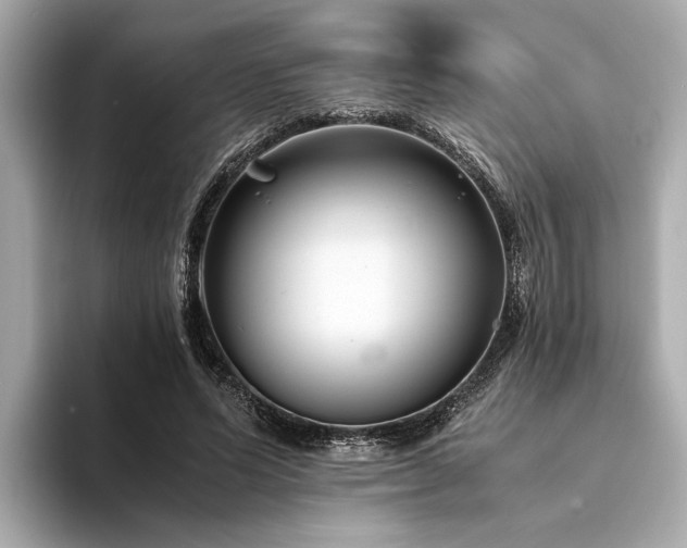 X0000094340591200711021452