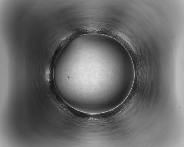 X0000094340596200711021452