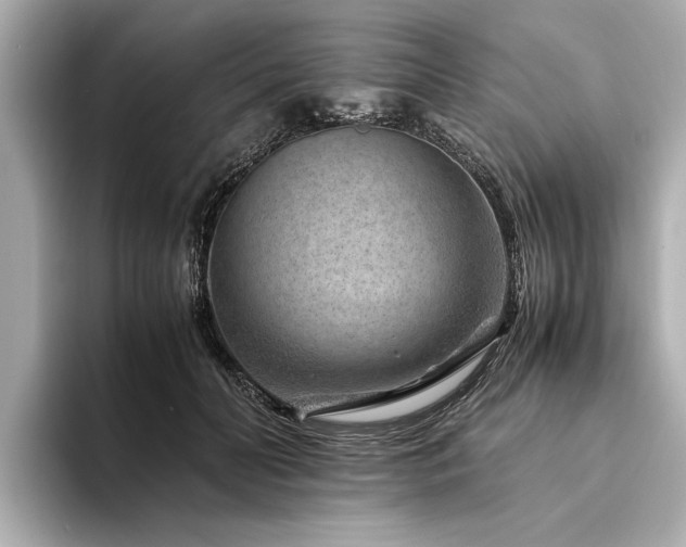 X0000094340606200711021452