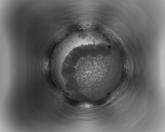 X0000094340610200711021452