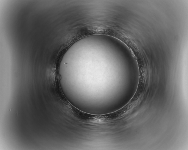 X0000094340612200711021452