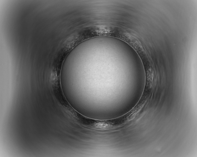X0000094340614200711021452