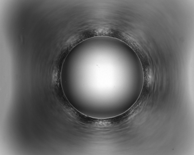 X0000094340619200711021452