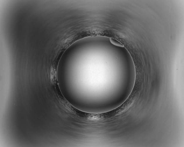 X0000094340624200711021452
