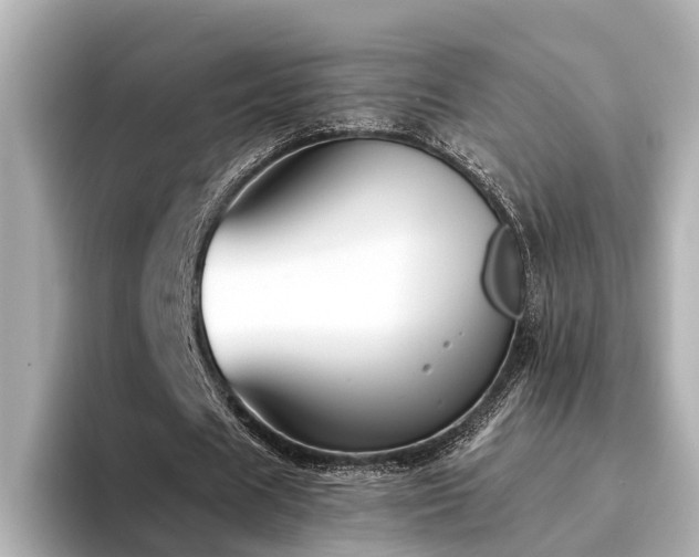 X0000094340625200711021451