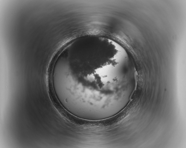 X0000094340626200711021451