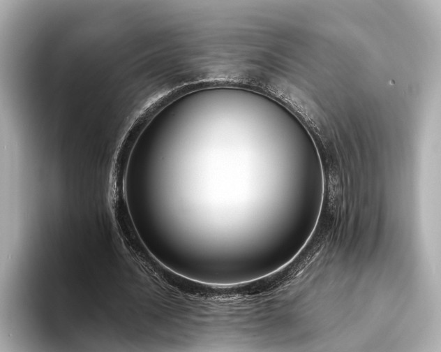 X0000094340628200711021451