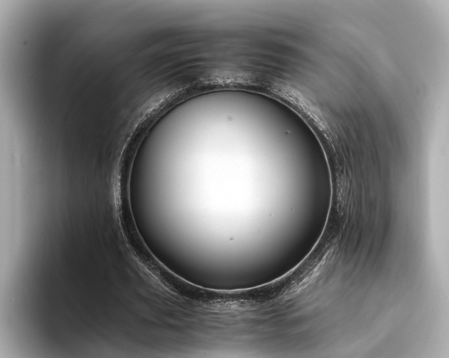 X0000094340629200711021451
