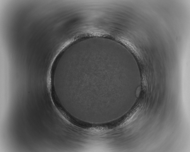 X0000094340630200711021451