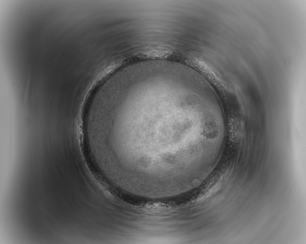 X0000094340634200711021451