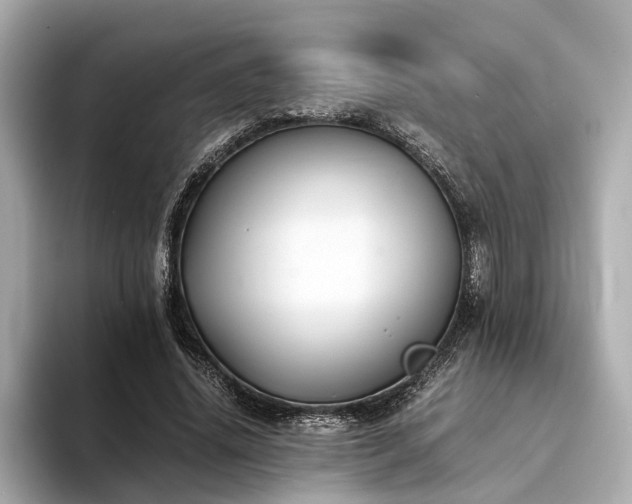 X0000094340636200711021451