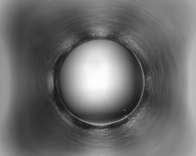 X0000094340638200711021451