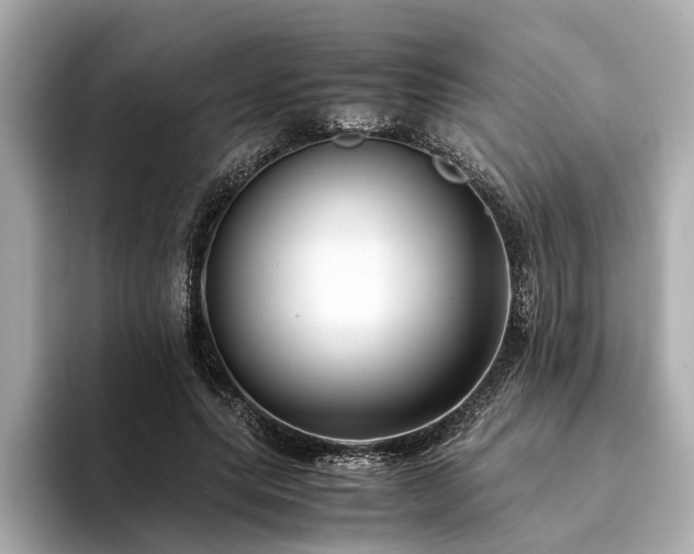 X0000094340639200711021451