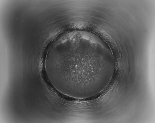 X0000094340640200711021451