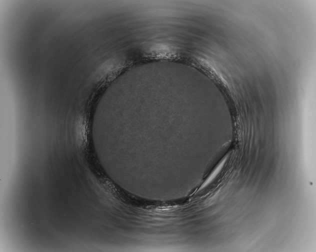 X0000094340643200711021451