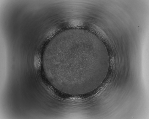 X0000094340644200711021451