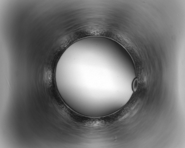 X0000094340646200711021451