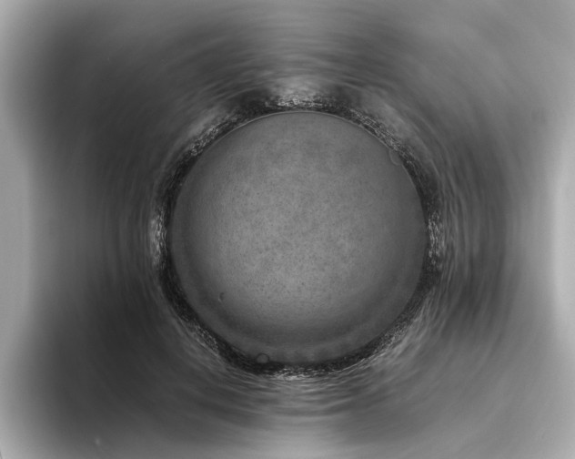 X0000094340648200711021451