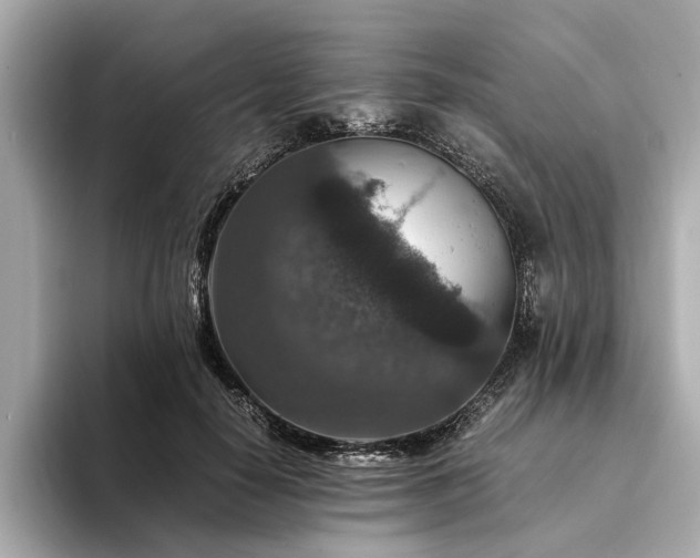 X0000094340650200711021451