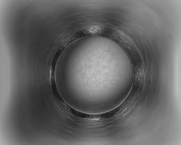 X0000094340651200711021451