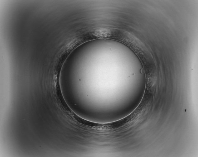 X0000094340652200711021451