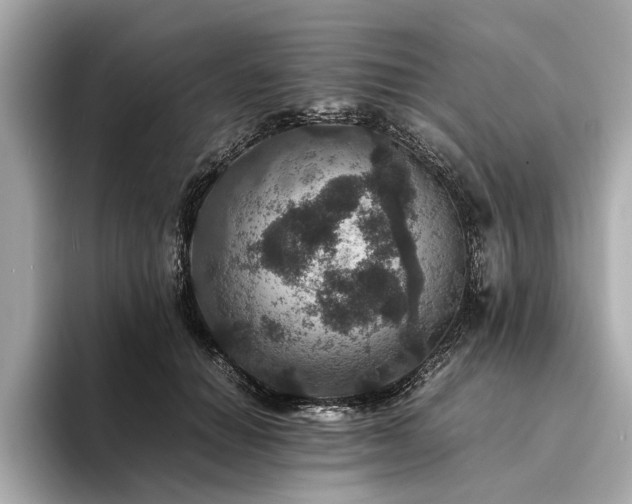 X0000094340654200711021451