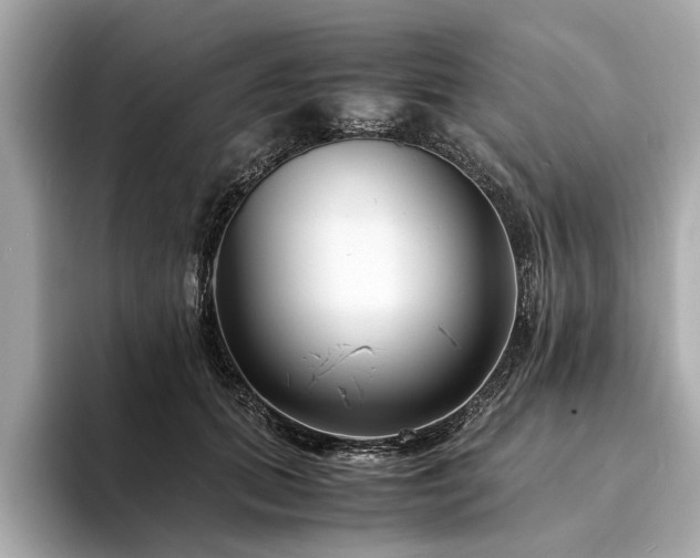 X0000094340655200711021451
