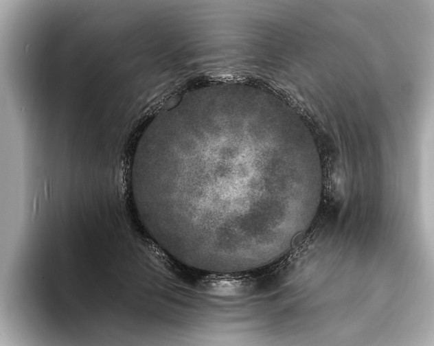 X0000094340658200711021452