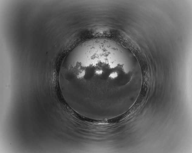 X0000094340659200711021452