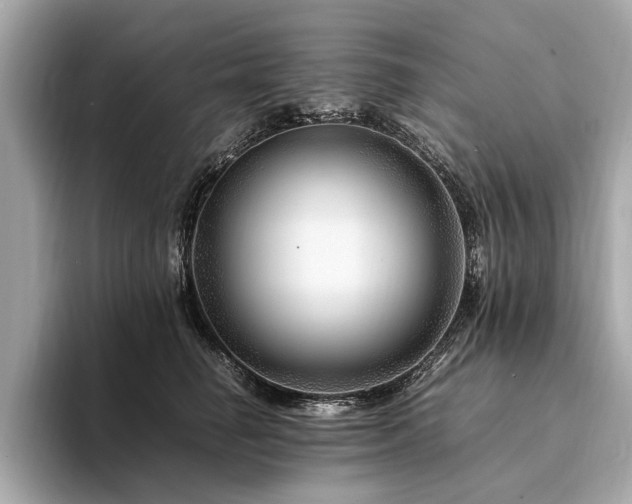 X0000094340662200711021452