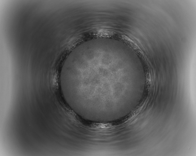 X0000094340663200711021452