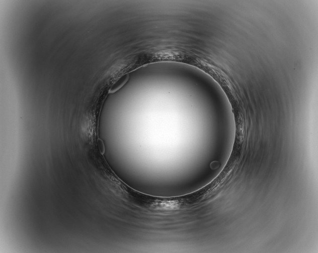 X0000094340665200711021452