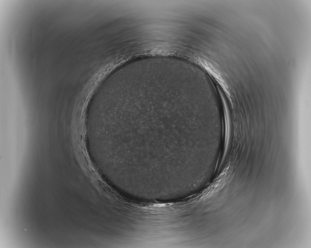 X0000094340673200711021451