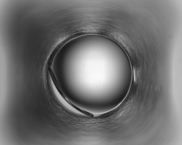 X0000094340675200711021451