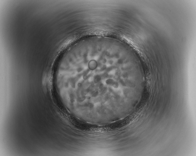 X0000094340679200711021451