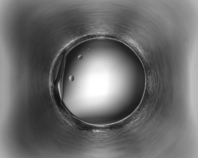 X0000094340680200711021451