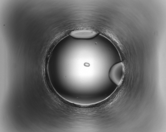 X0000094340681200711021451