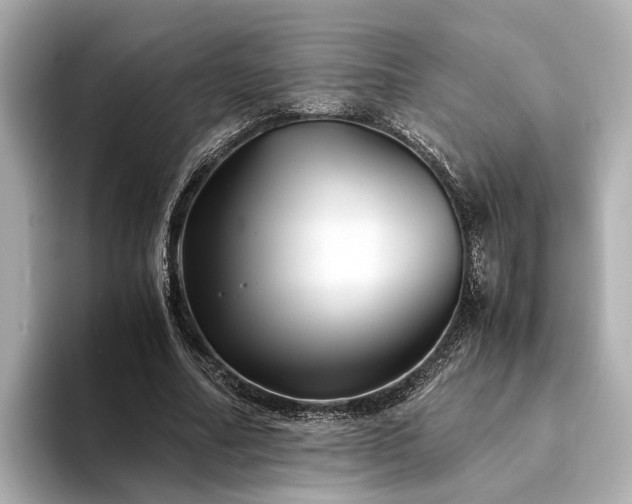 X0000094340682200711021451