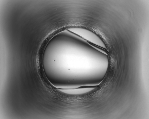 X0000094340684200711021451