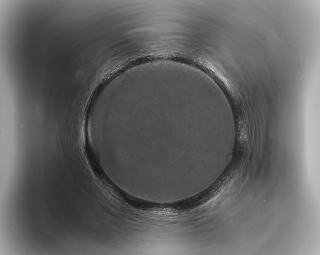 X0000094340685200711021451