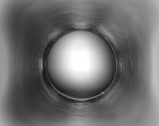 X0000094340686200711021451