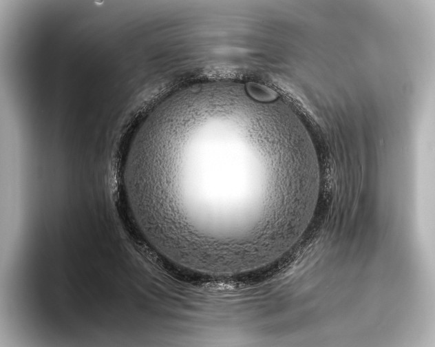 X0000094340687200711021451