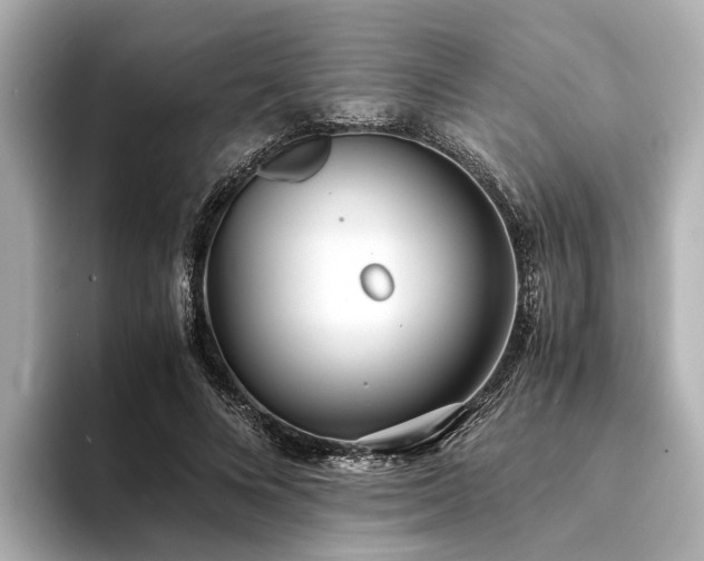 X0000094340688200711021451