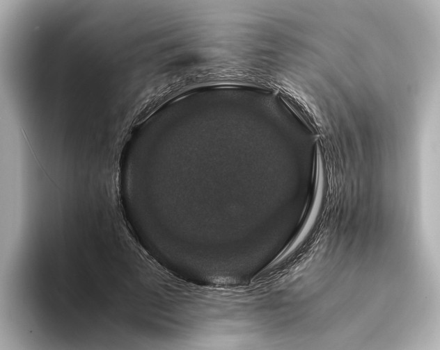 X0000094340689200711021451