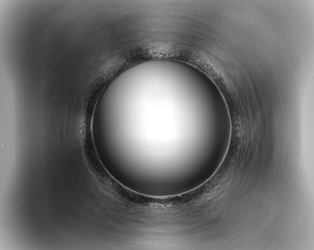 X0000094340690200711021451