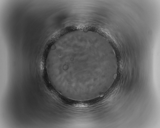 X0000094340691200711021451