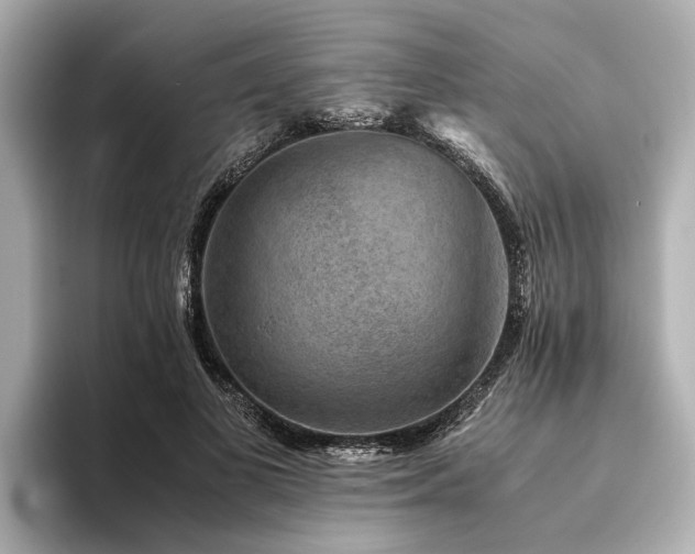 X0000094340693200711021451