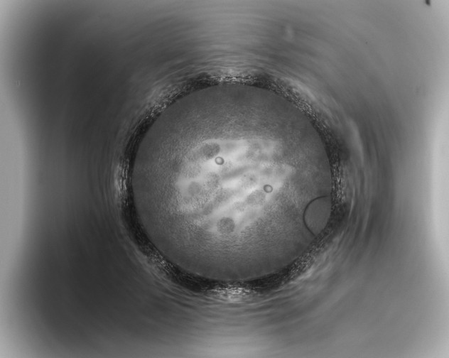 X0000094340695200711021451
