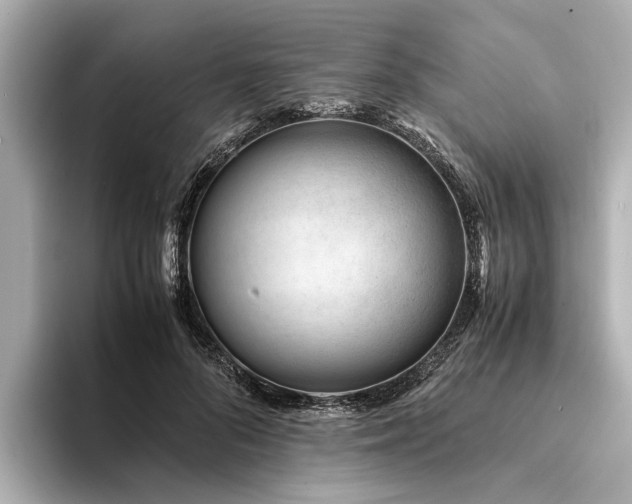 X0000094340696200711021451