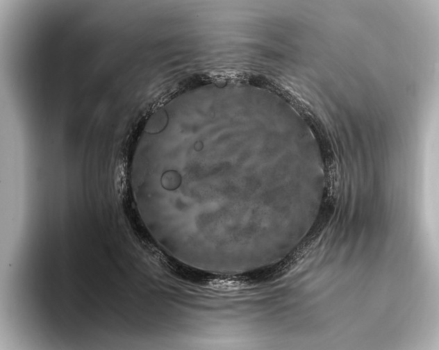 X0000094340699200711021451